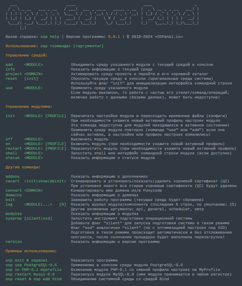 Open Server Panel Console