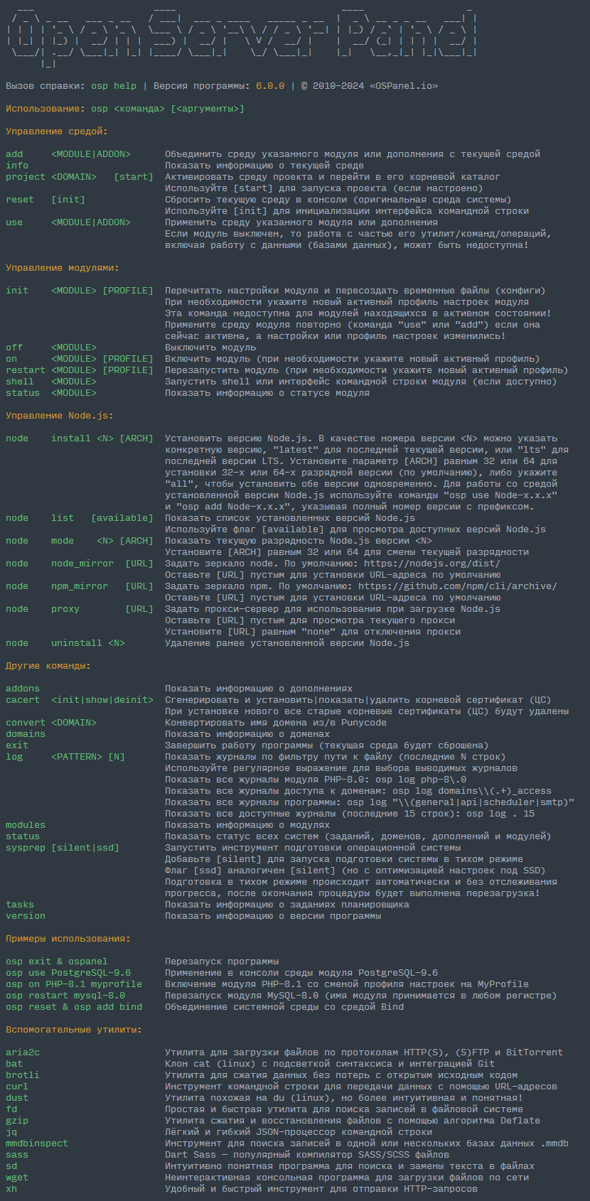 Open Server Panel Console