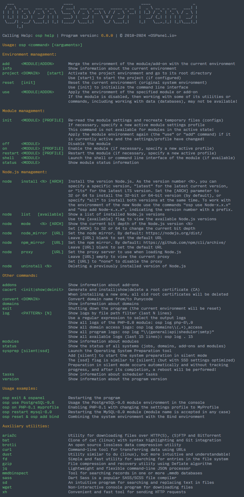 Open Server Panel Console