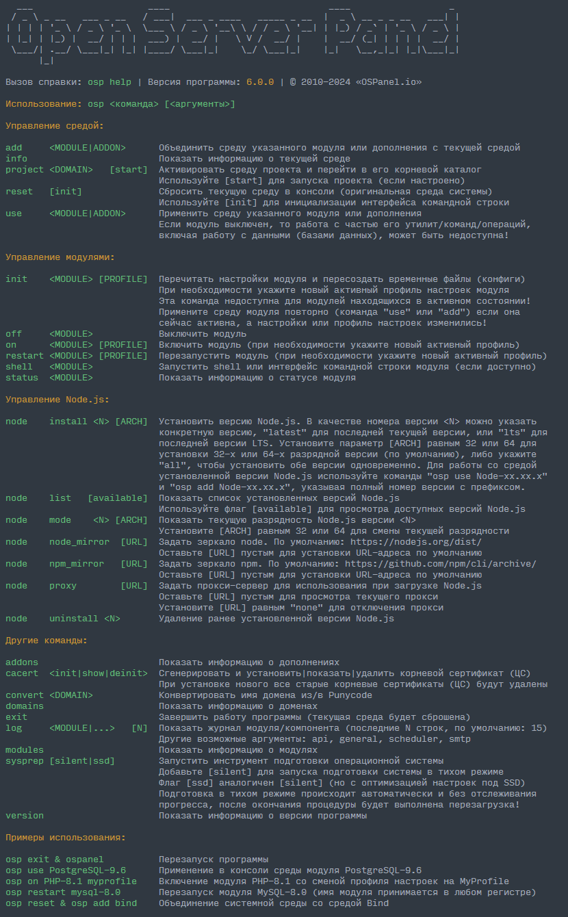 Open Server Panel Console