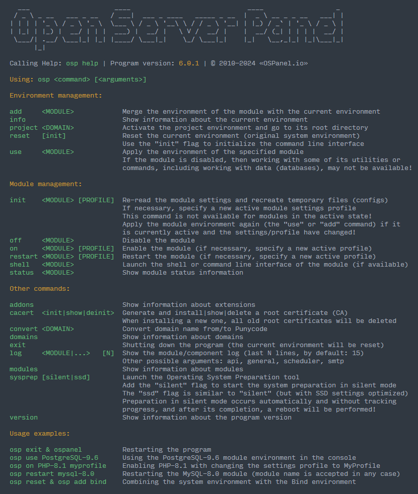 Open Server Panel Console