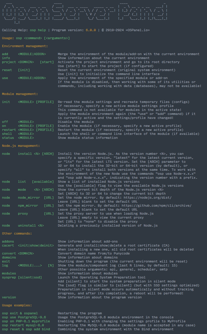 Open Server Panel Console