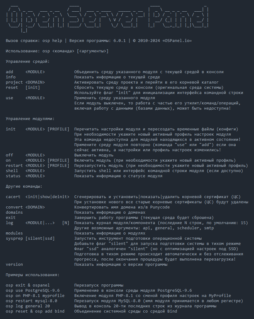 Open Server Panel Console